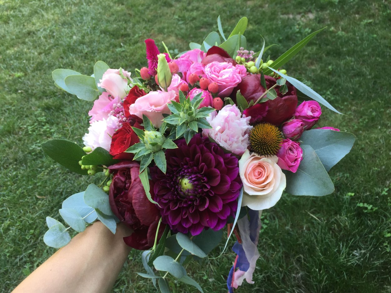 Георгина Фигаро Виолет Шейдес