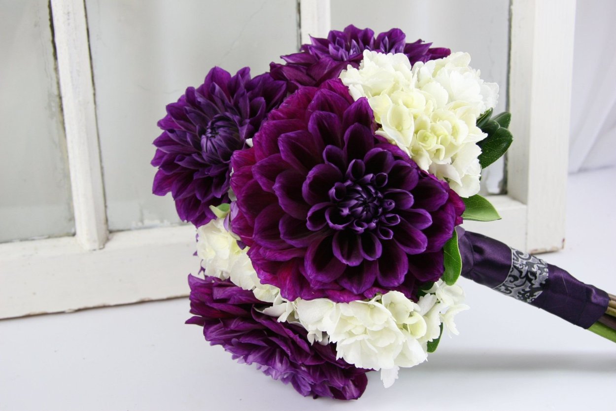 Георгин totally Tangerine букет