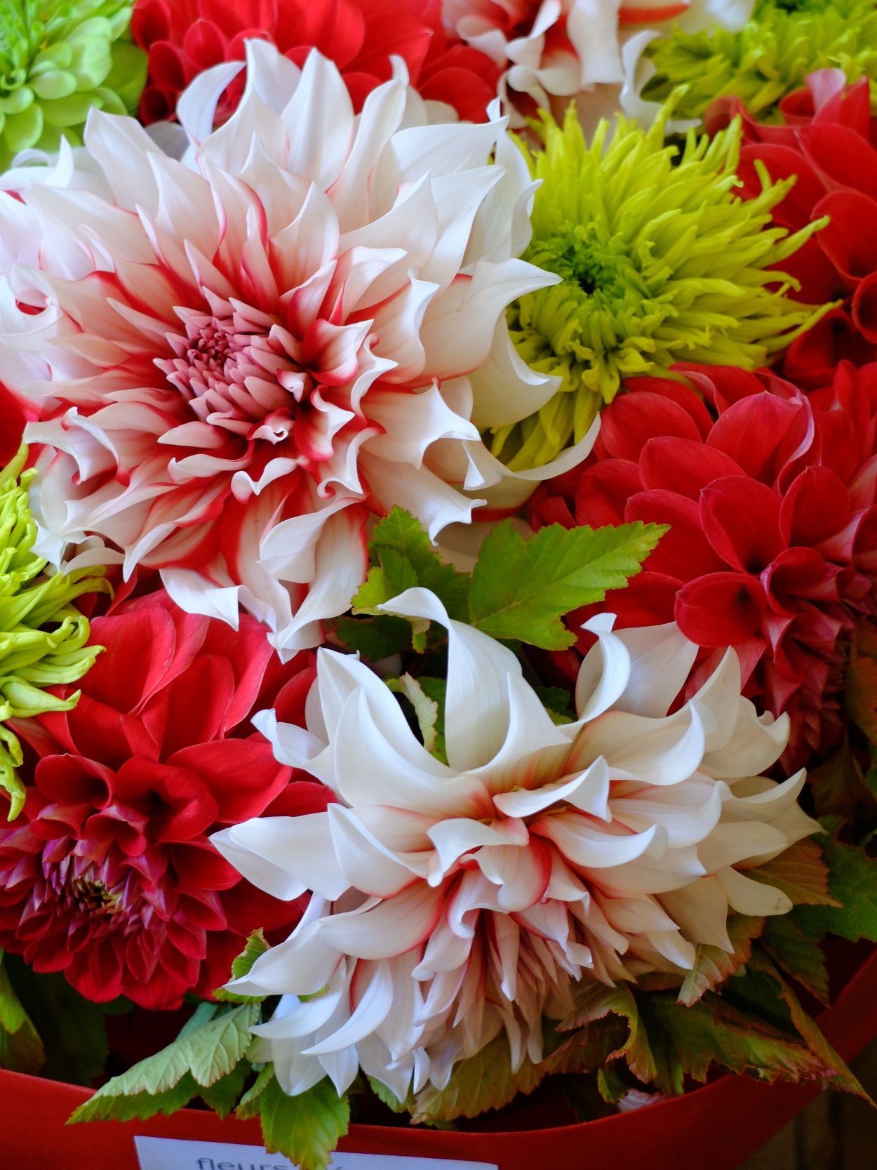 Георгины пионовидные букет