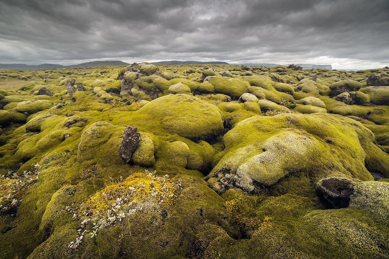 Лавовые поля Исландия