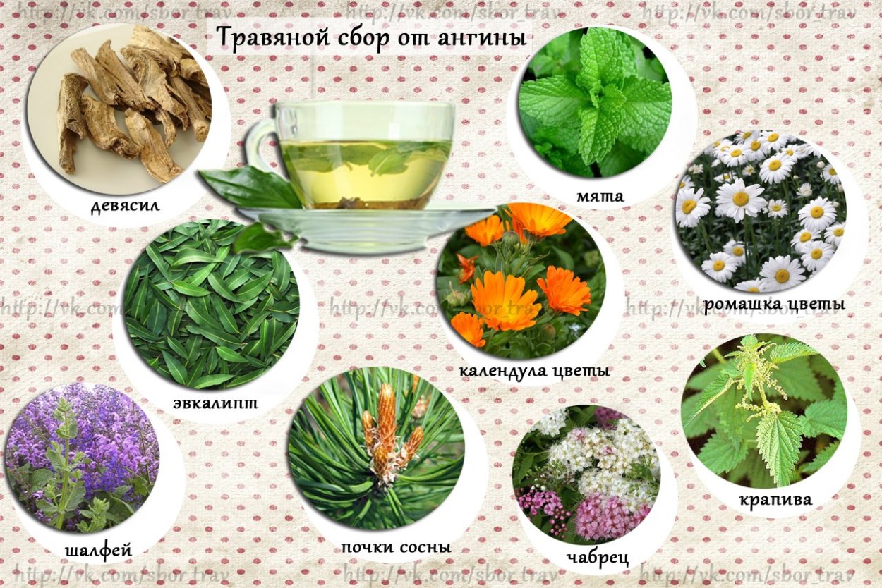 Травяной чай "Иван-чай"