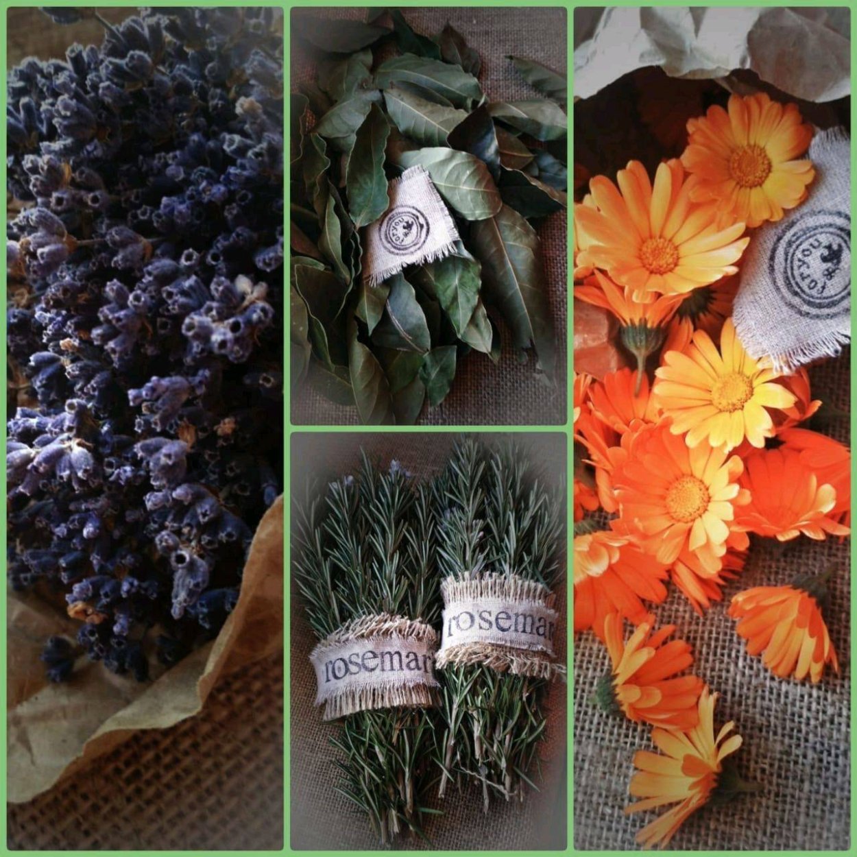 Травяной веник "тысячелистник"