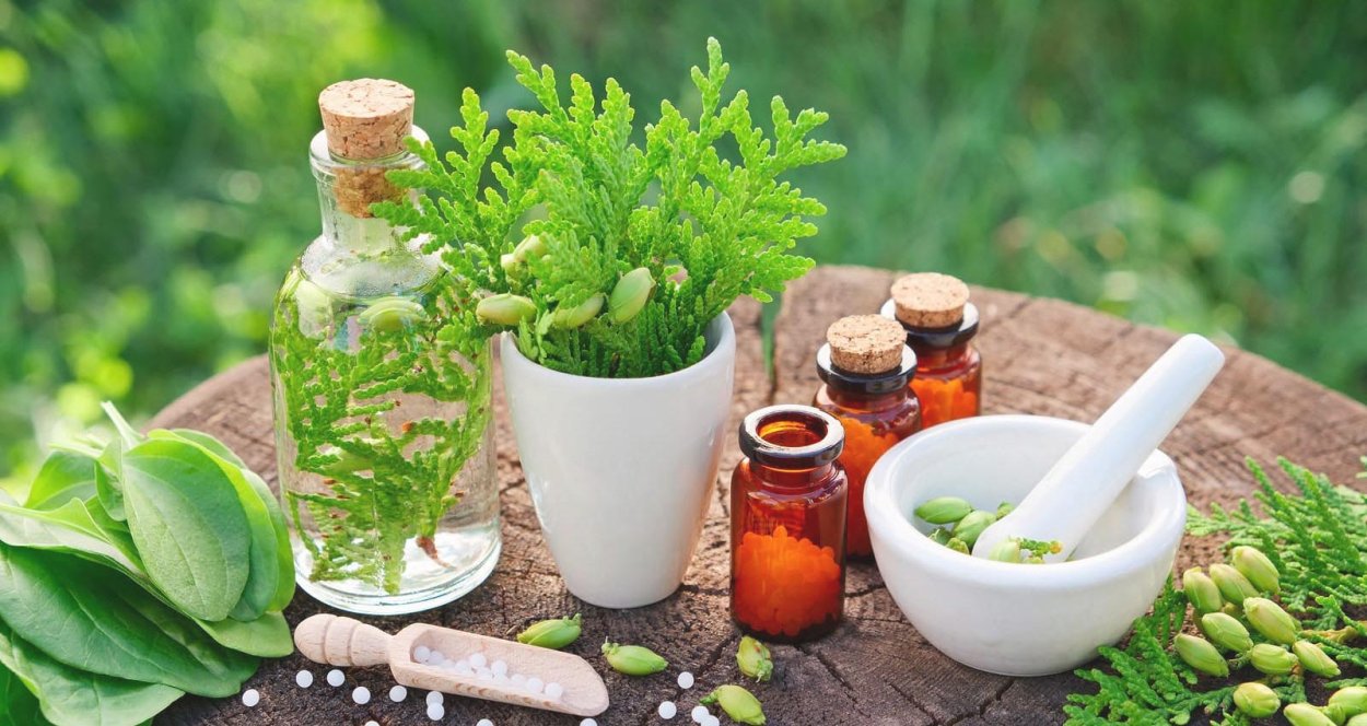 Фиолетовые Лесные цветы