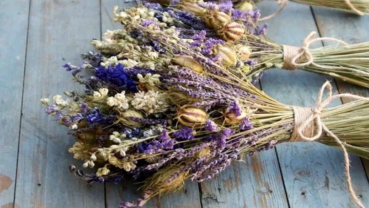 Лекарственные травы с названиями