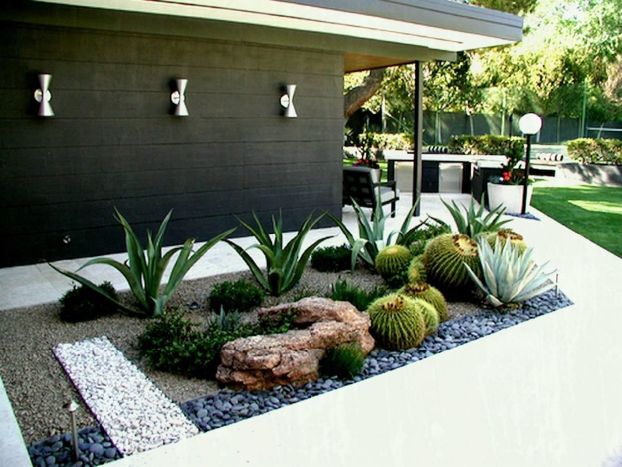 Юкка в ландшафте