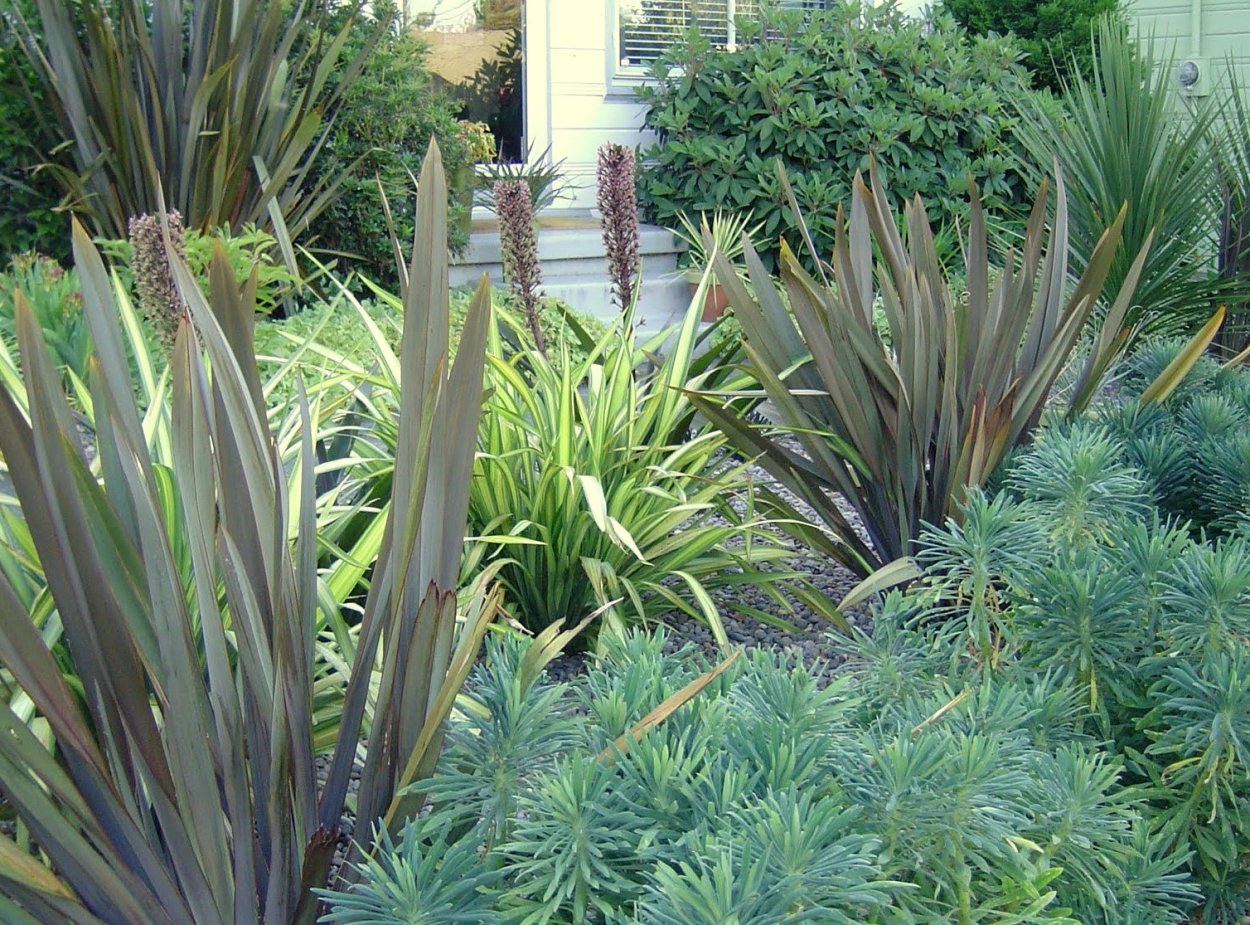 Юкка Кордилина