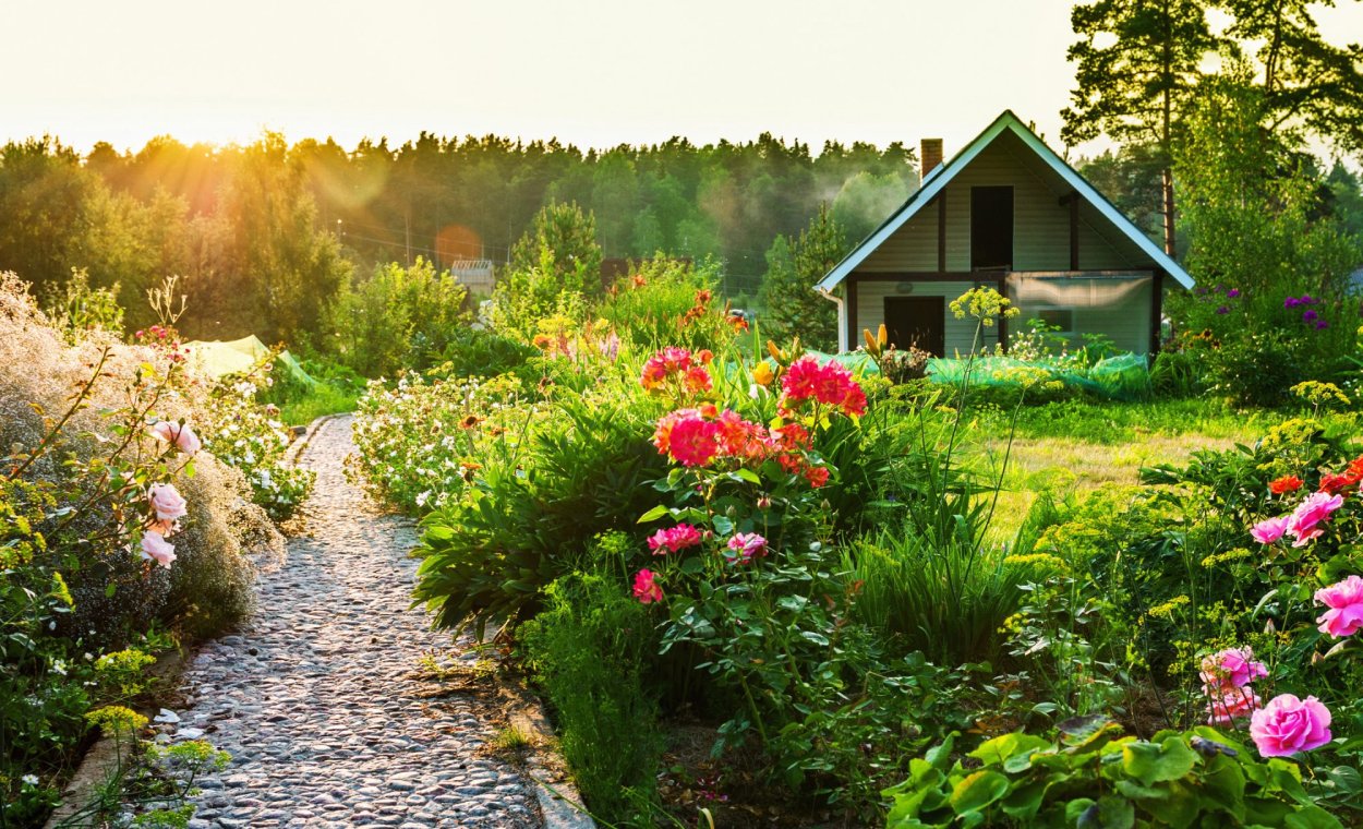 Красивый сад на даче