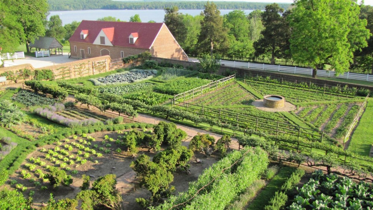 Пермакультура фермы США