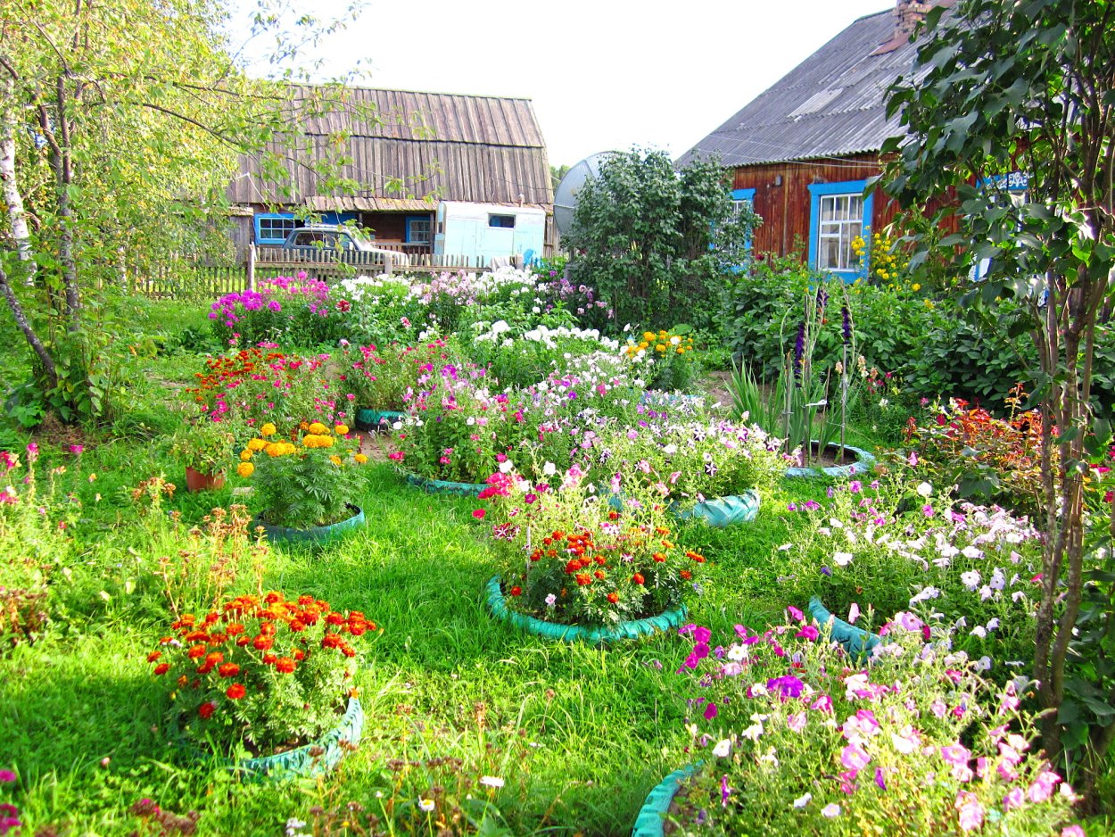 Деревня двор огород палисадник