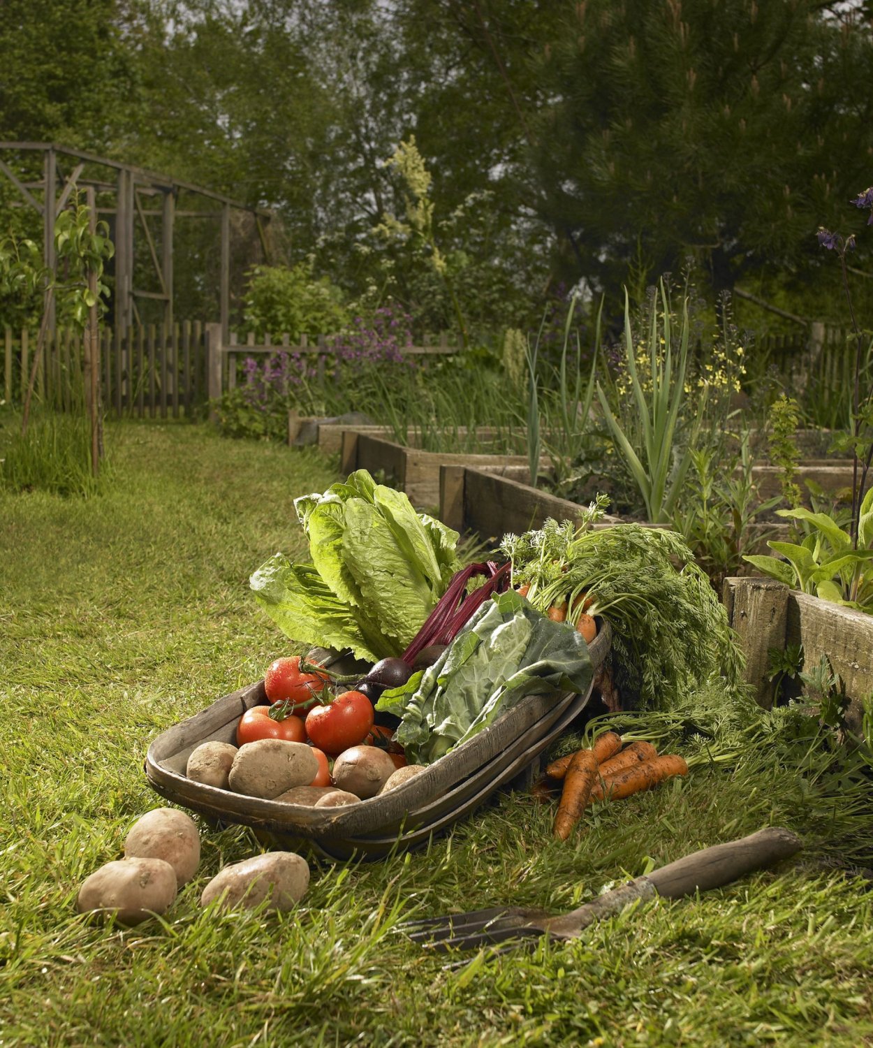 Деревенский сад и огород