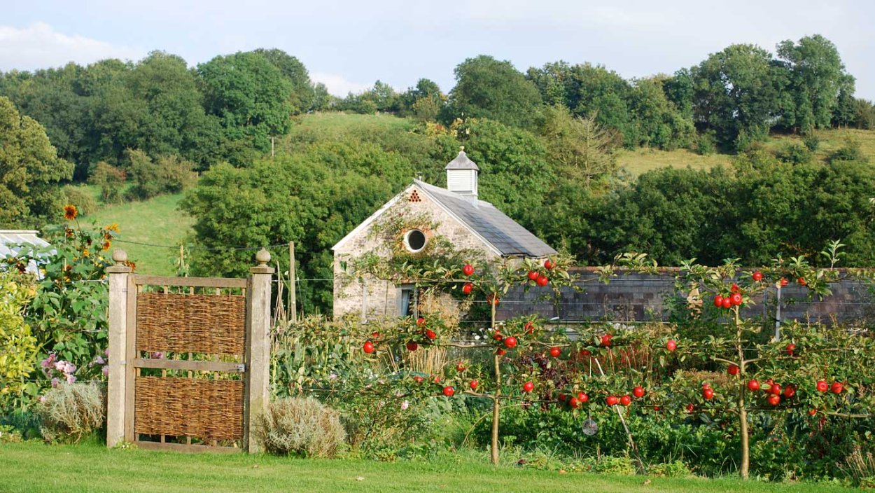 Свой сад в деревне