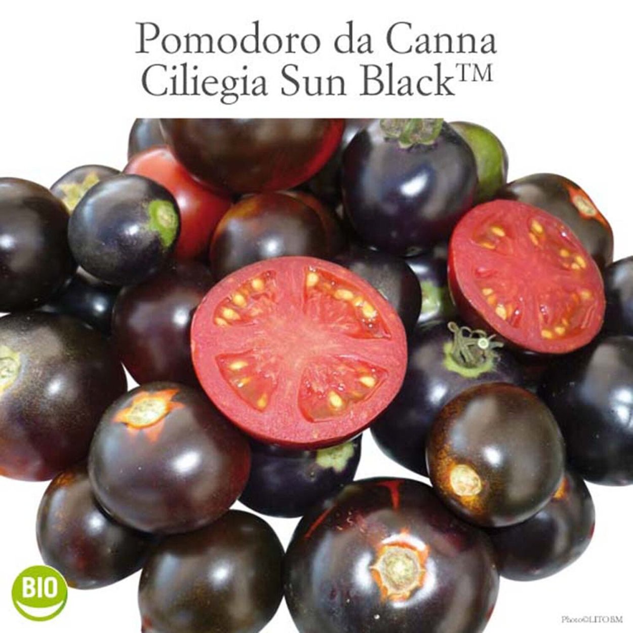 Блэк Бьюти (черная красавица томат