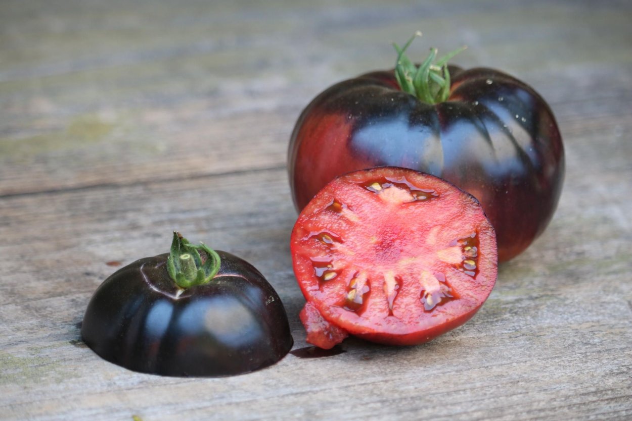 Томат черная пантера f1