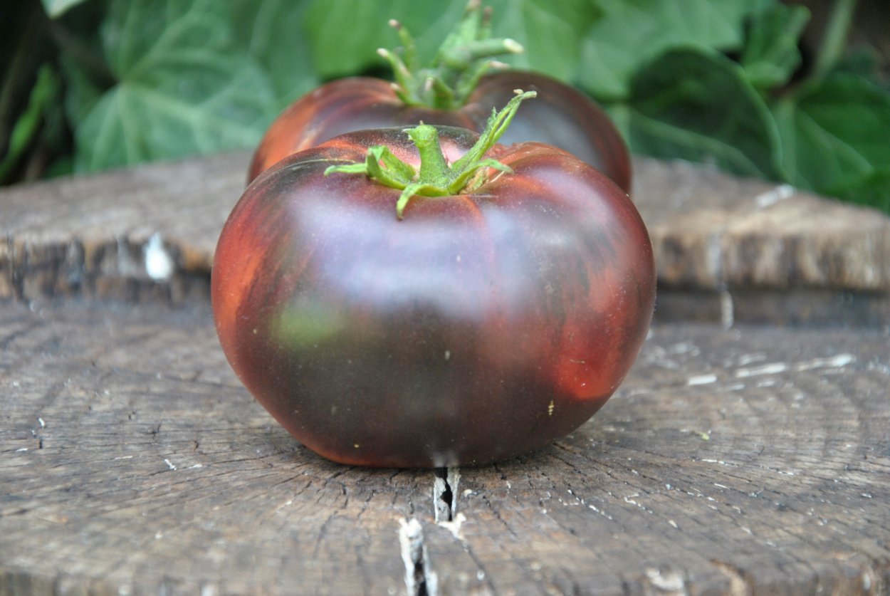 Темные помидоры