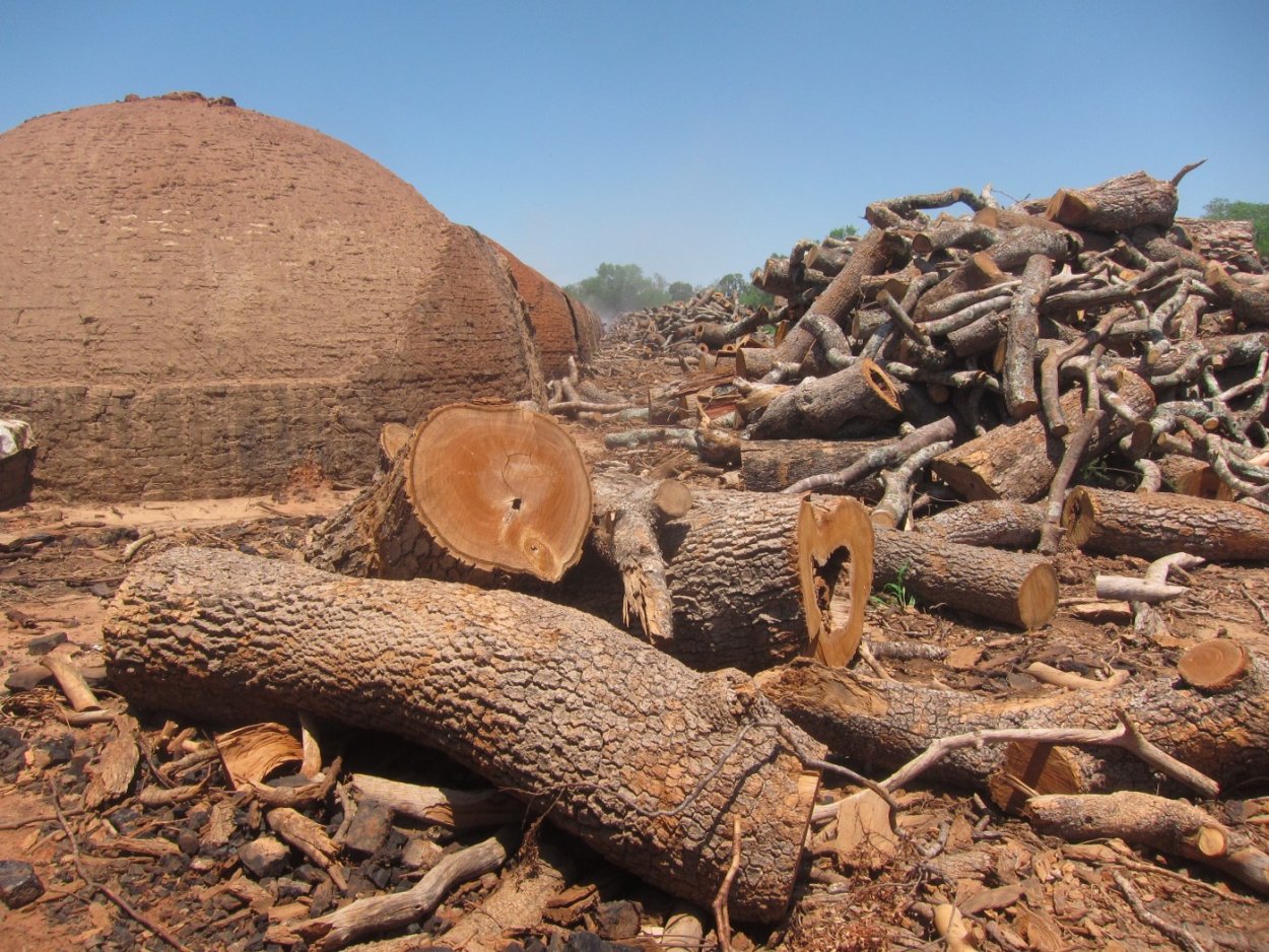 Равнина Гран Чако