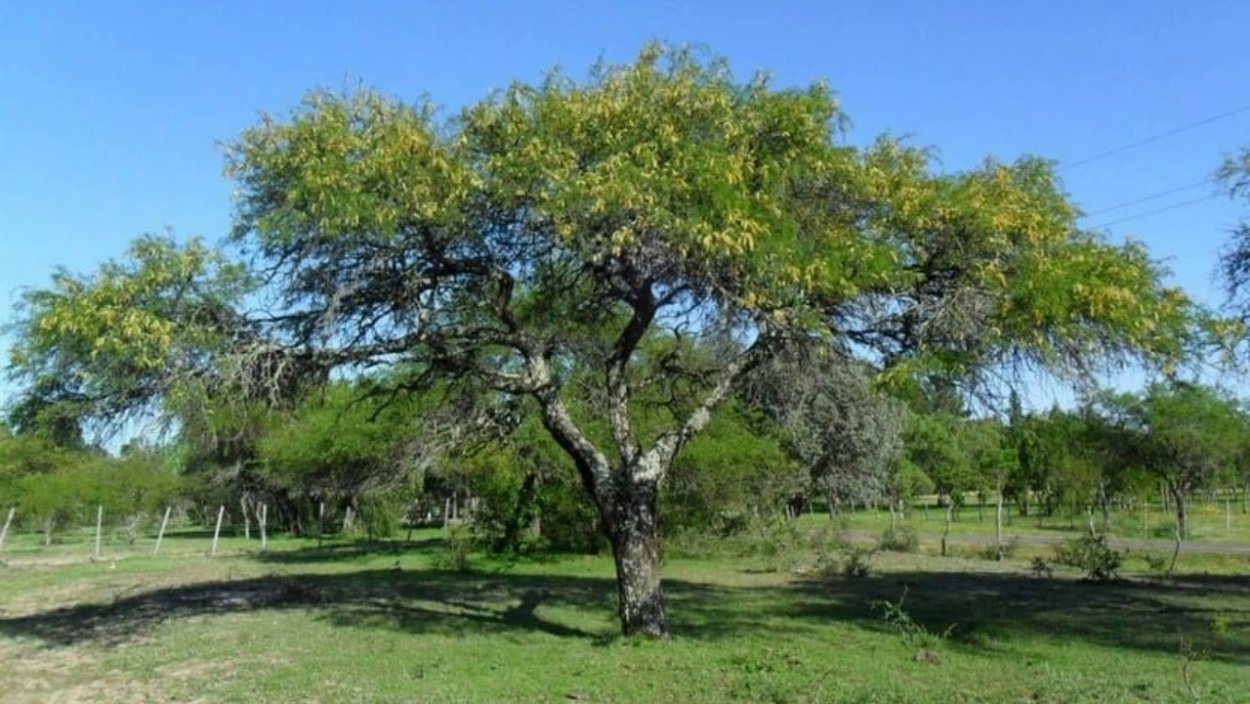 Эрьзя скульптура Марксс