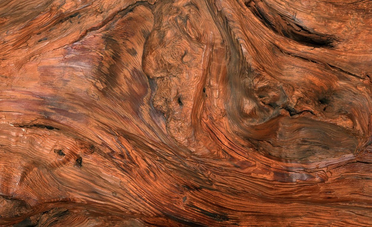 Деревья необычной формы