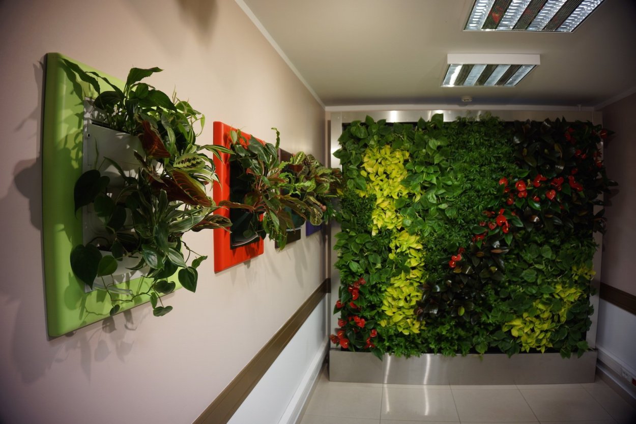 Урбан Джангл интерьер