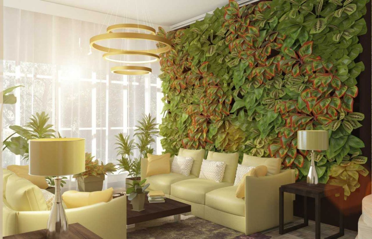 Растения на стене