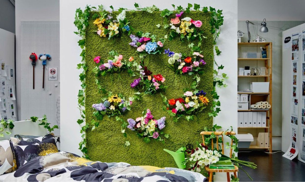 Фитостена эсхинантус