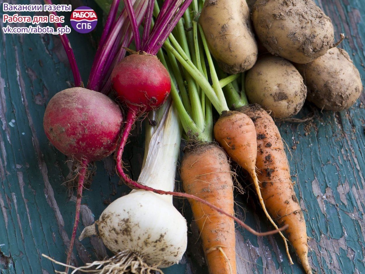 Вареные овощи