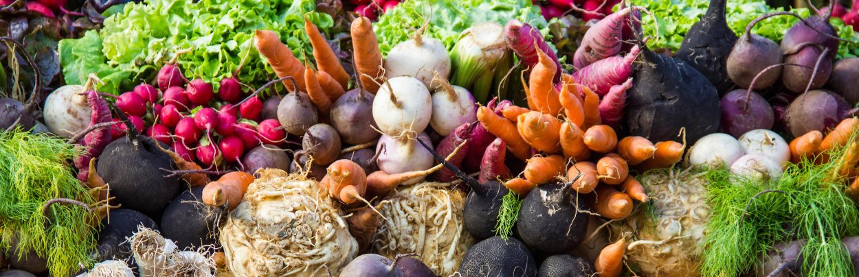 Корнеплоды моркови репы и свеклы