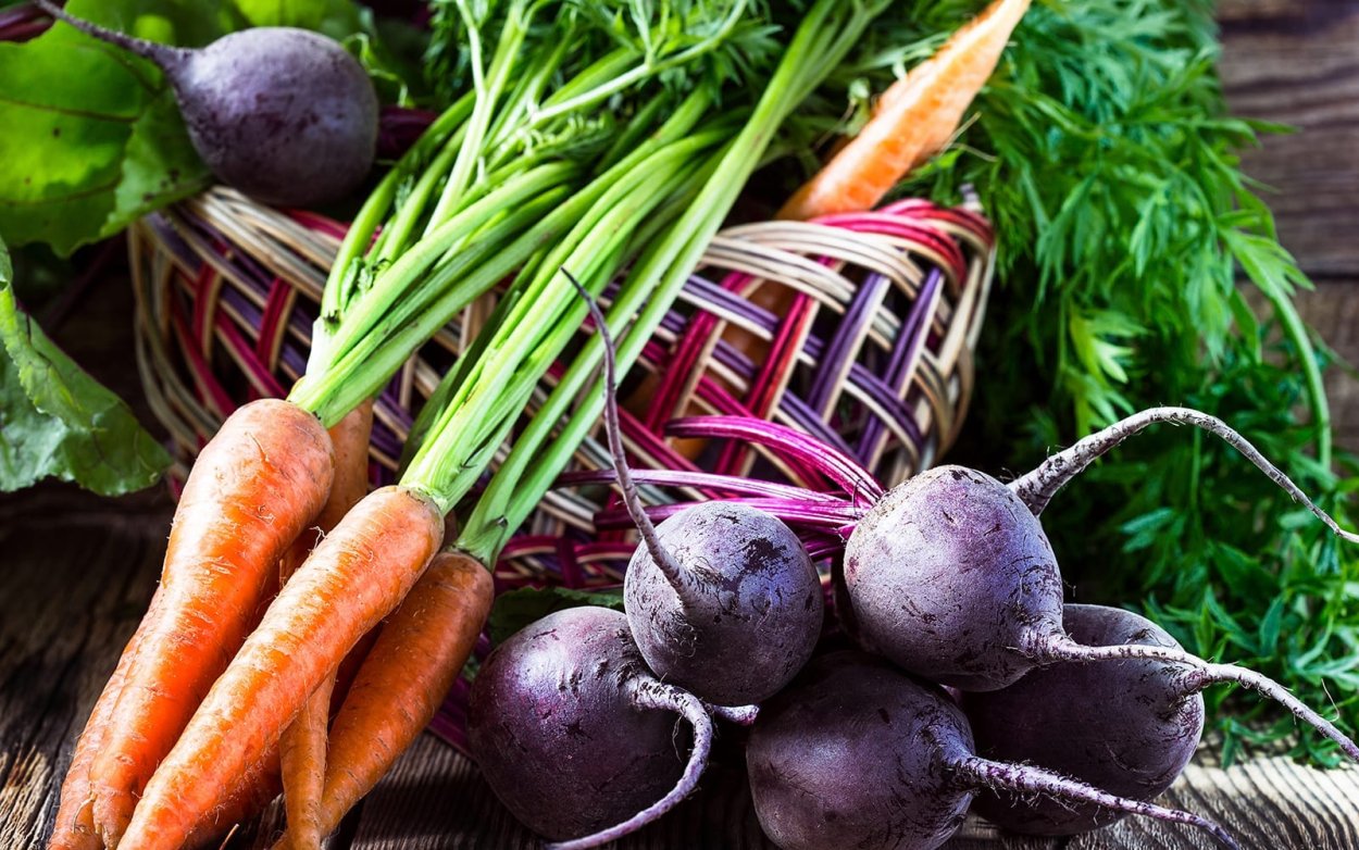 Морковь и свекла