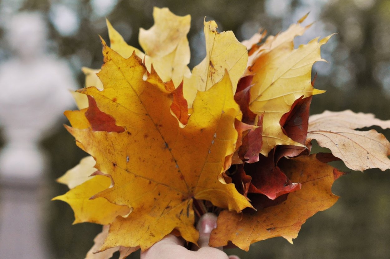 Осенний букет
