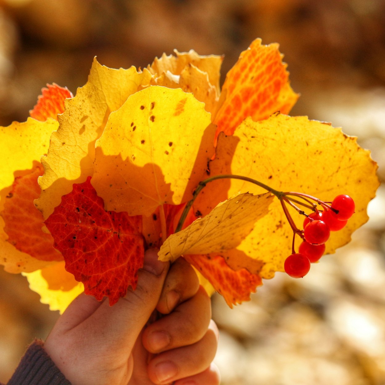Букет осенних листьев в вазе