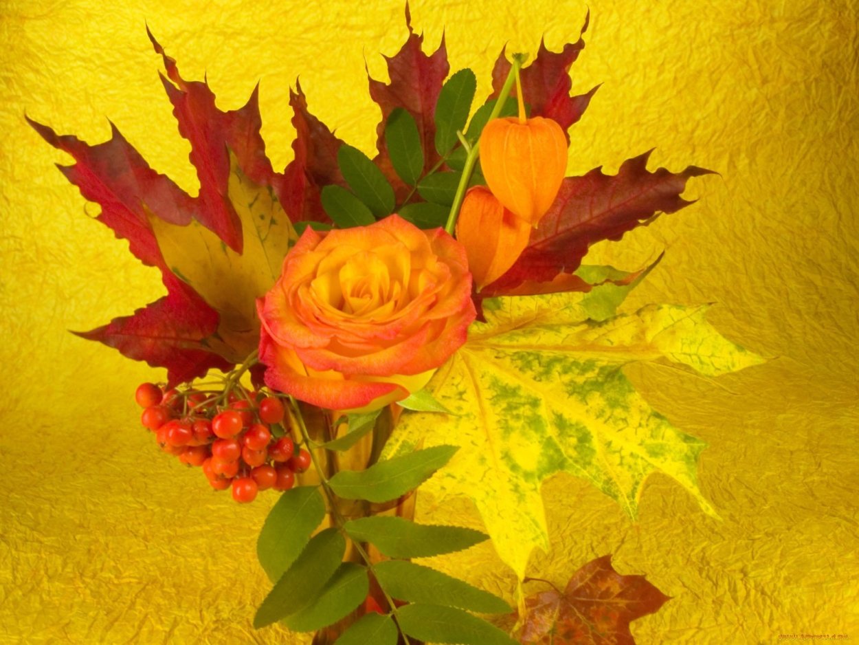 Букет из кленовых листьев