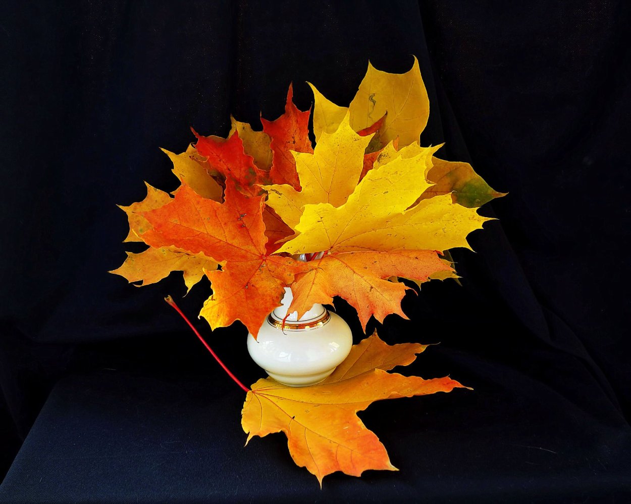 Осеницбукет из листьев