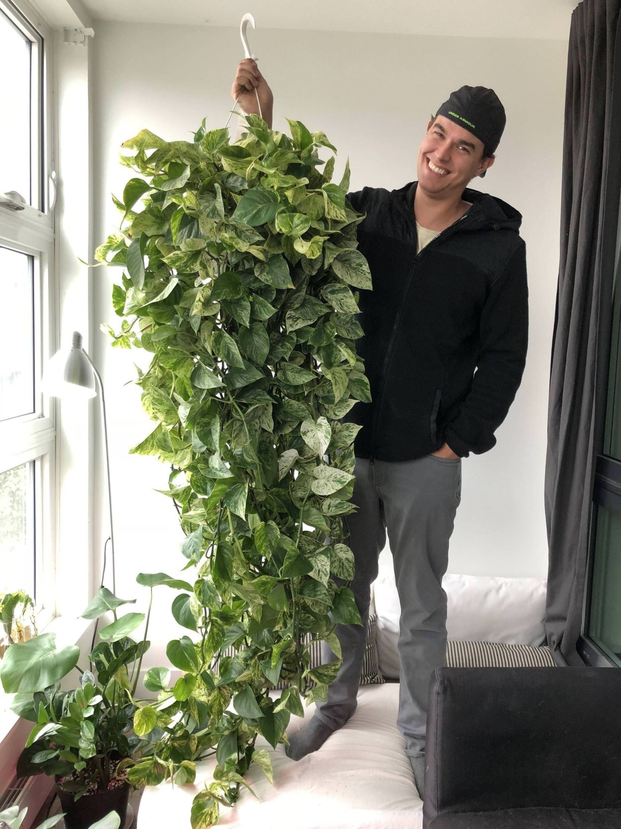 Эпифит Эпипремнум