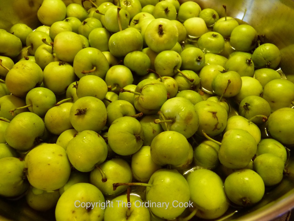 Молодое маленькое яблоко