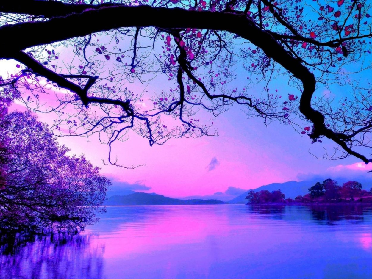 Природа в фиолетовых тонах