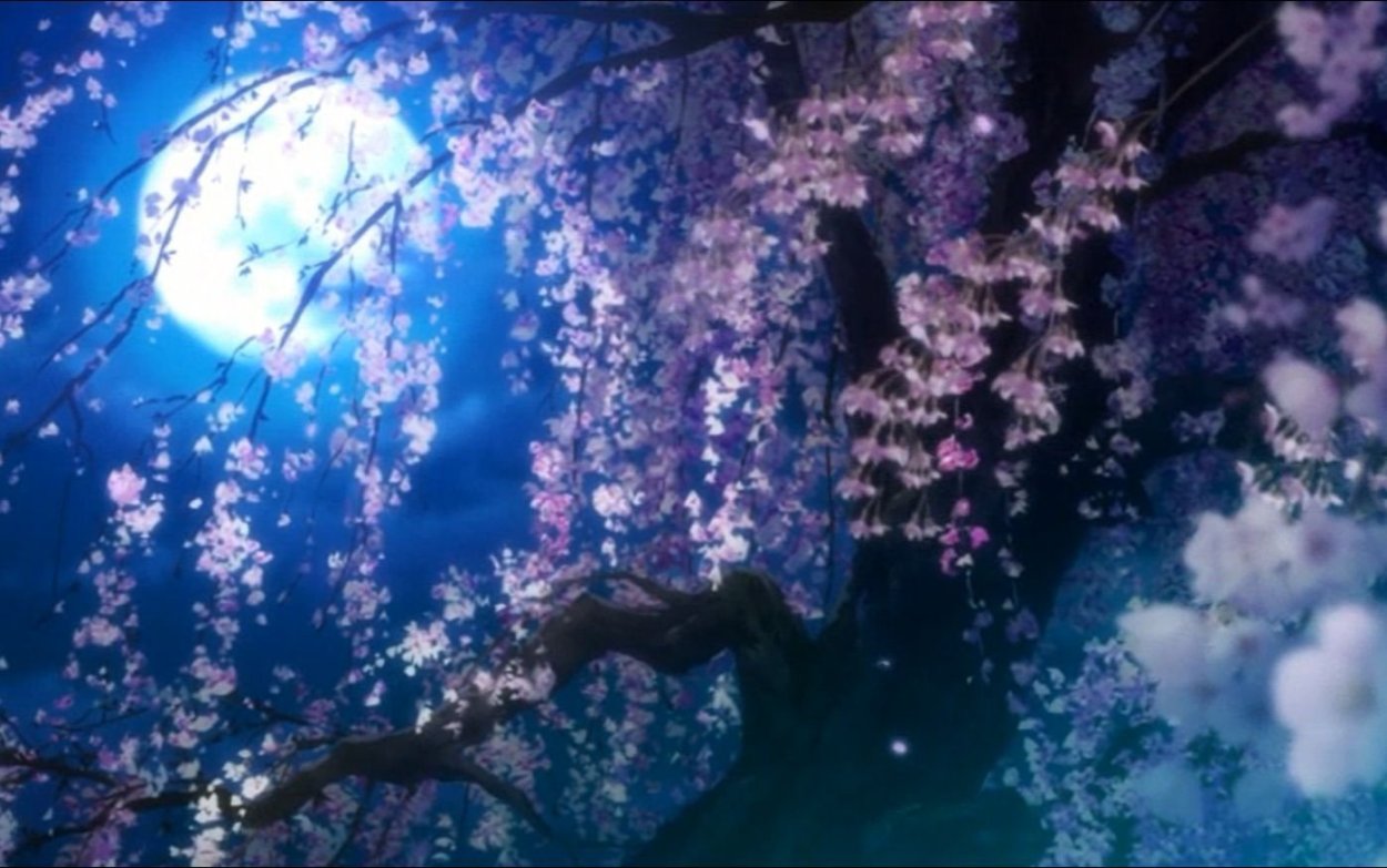 Сакура на фоне Луны