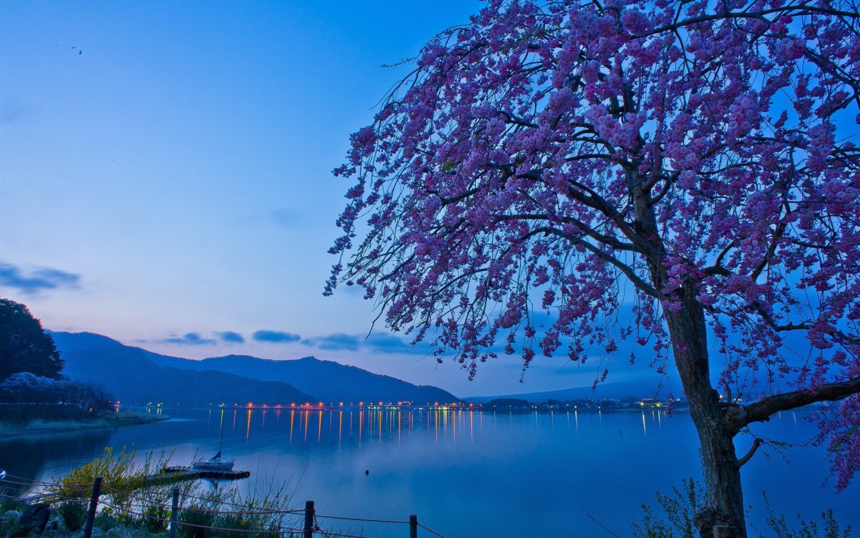 Озеро Кавагути