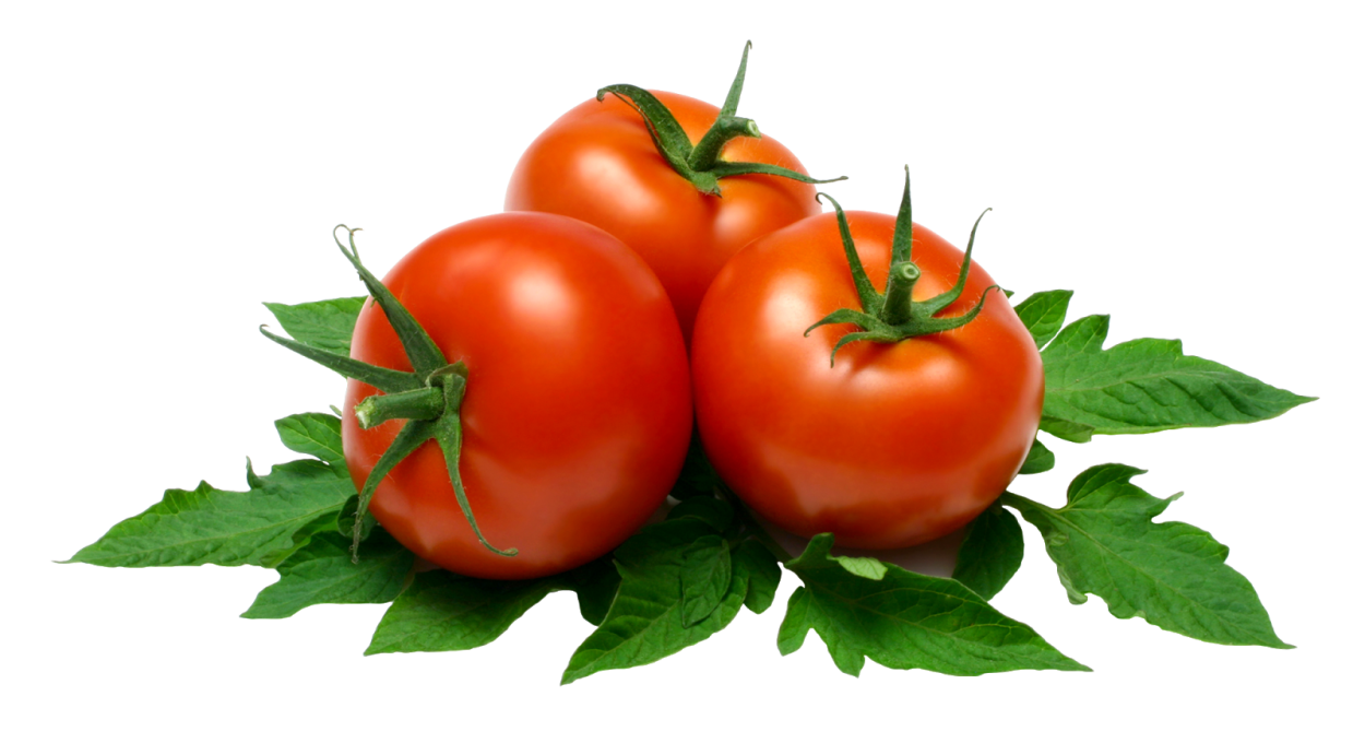 Завязь для томатов