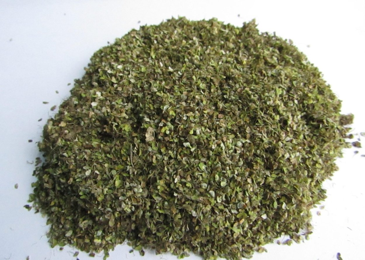 Вольфия бескорневая