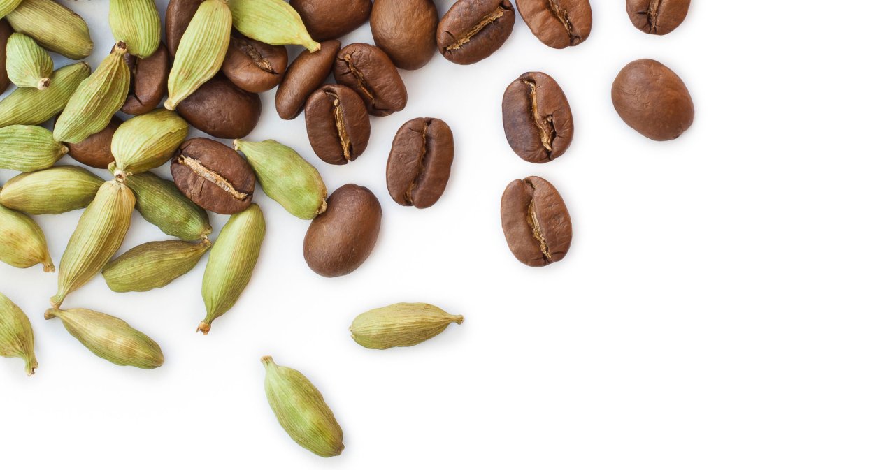 Индия плантации кардамона