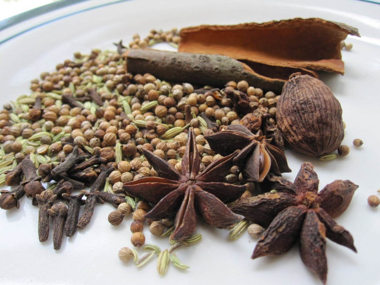 Кардамон вектор