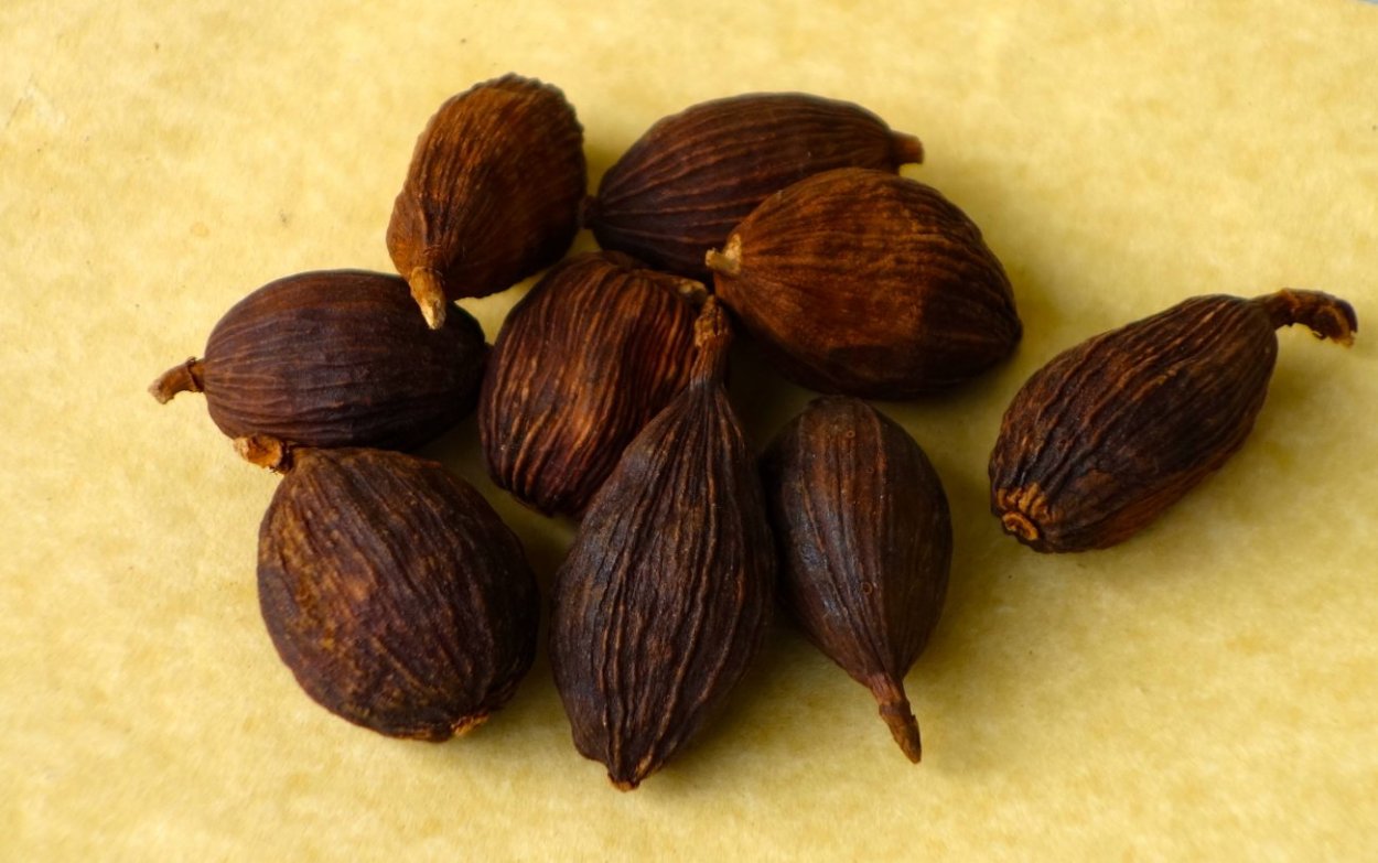 Листья мускатного ореха привлечение денег