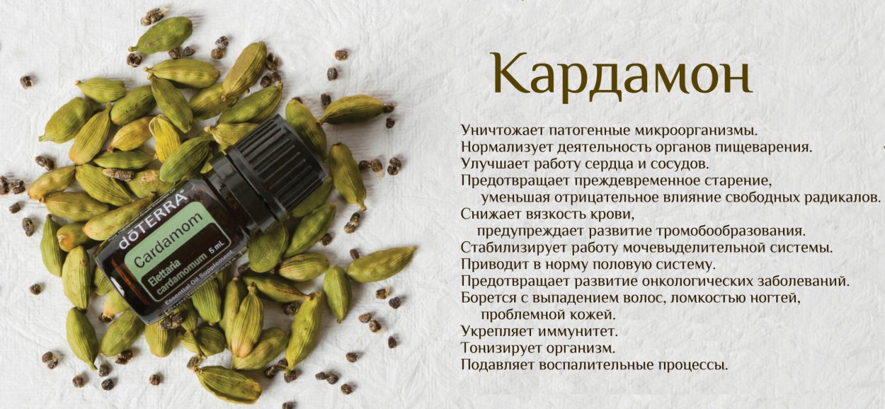 Бадьян и гвоздика