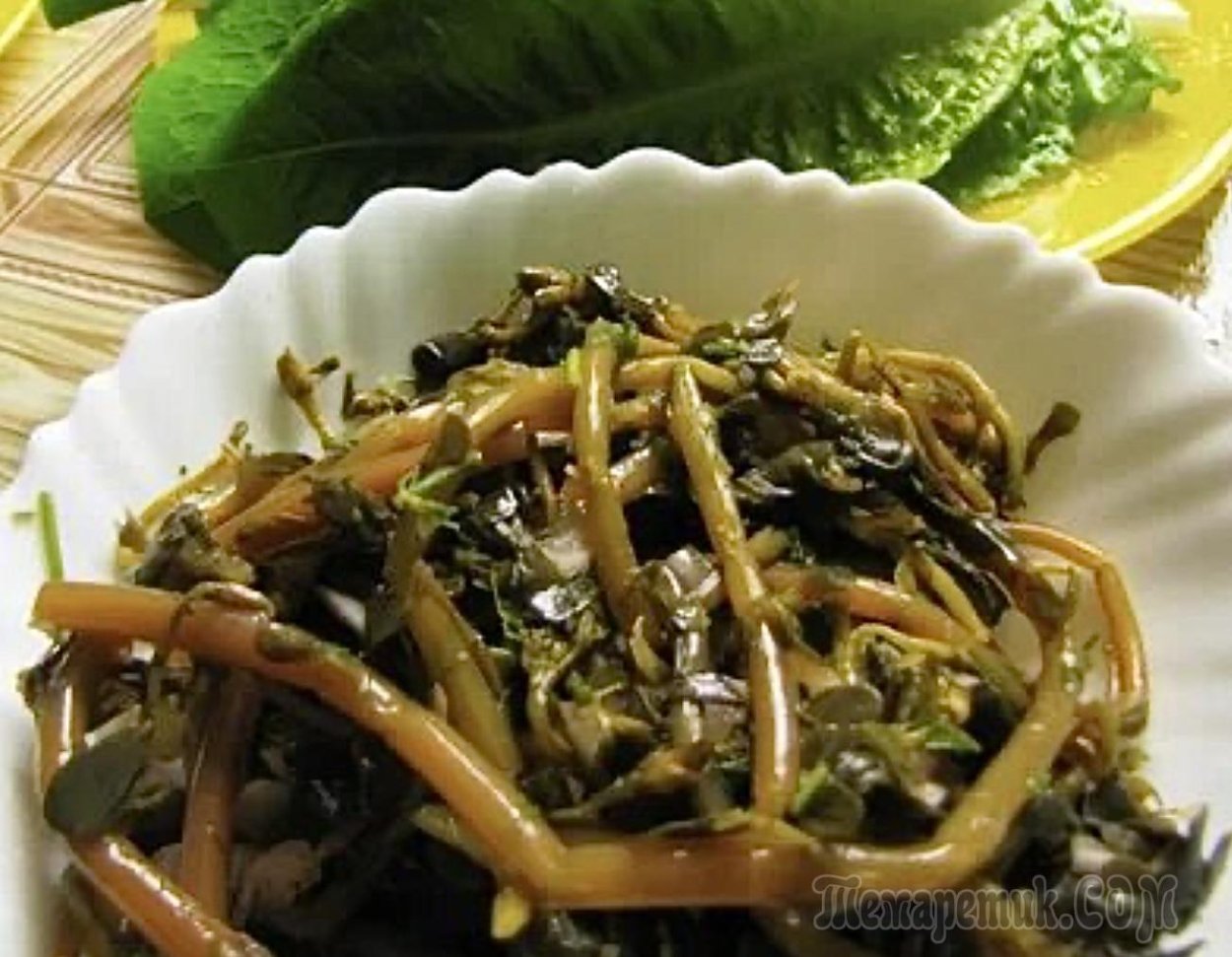 Воловик семена