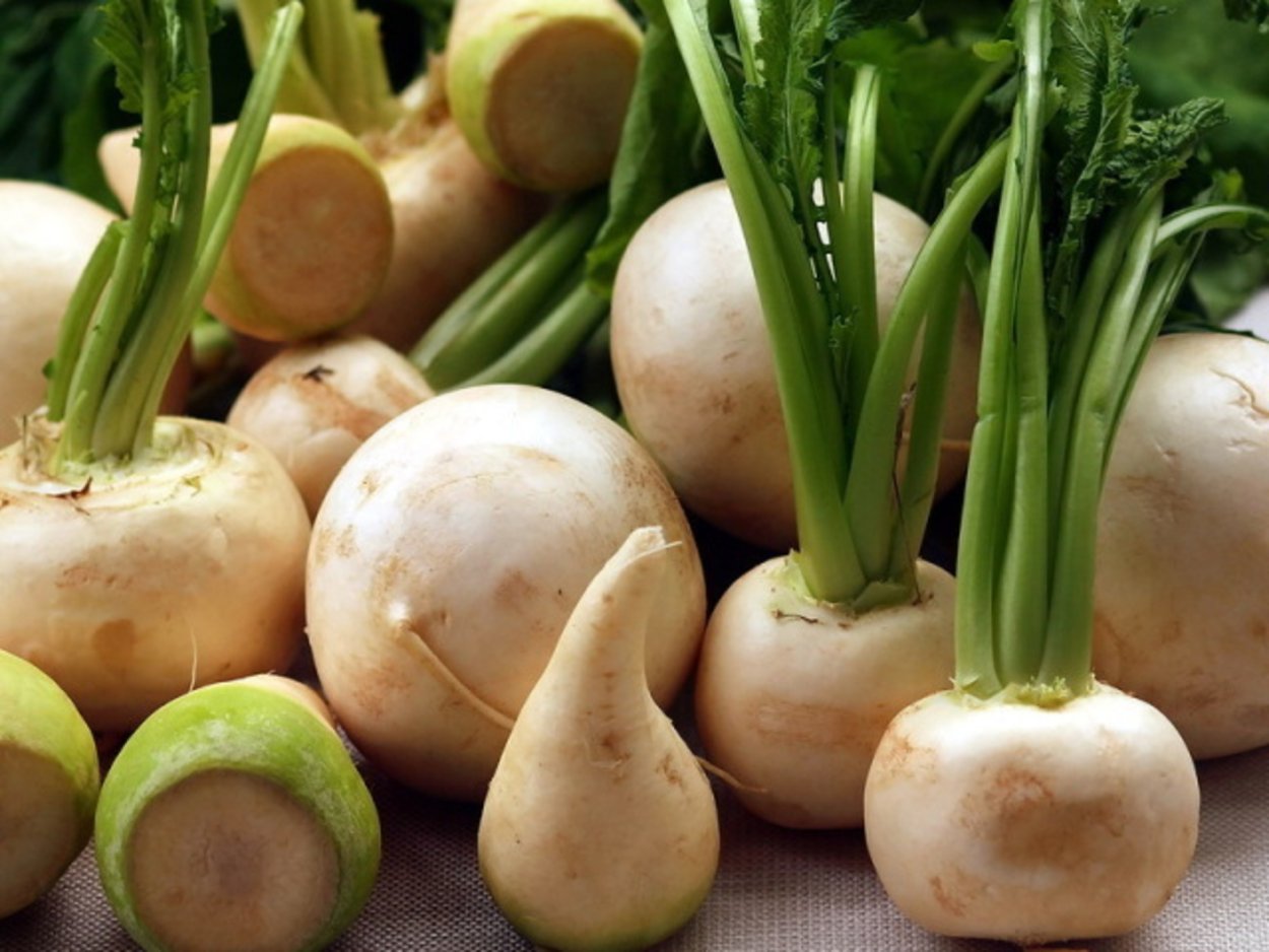 Шалгам овощ