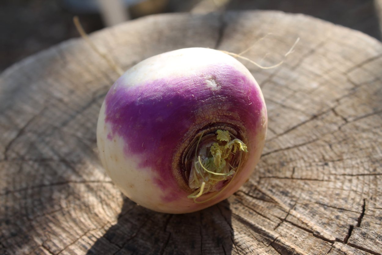 Свекольный квас