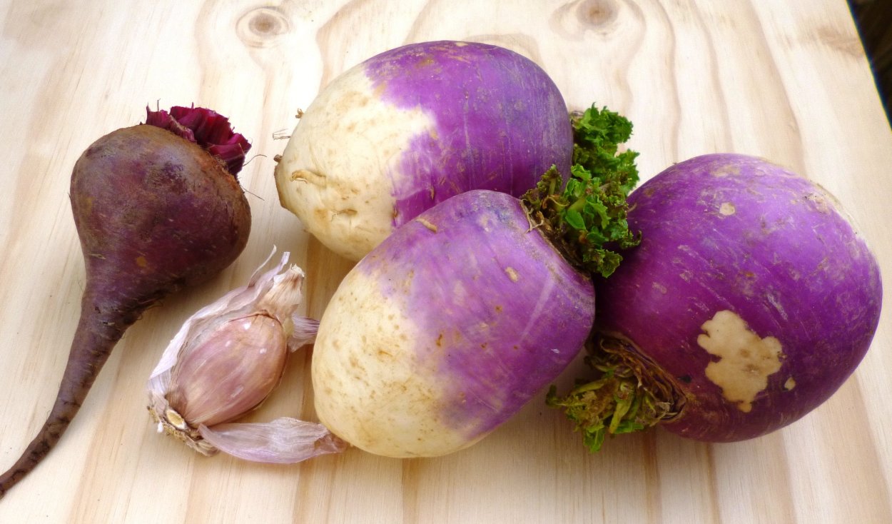 Репа турнепс брюква