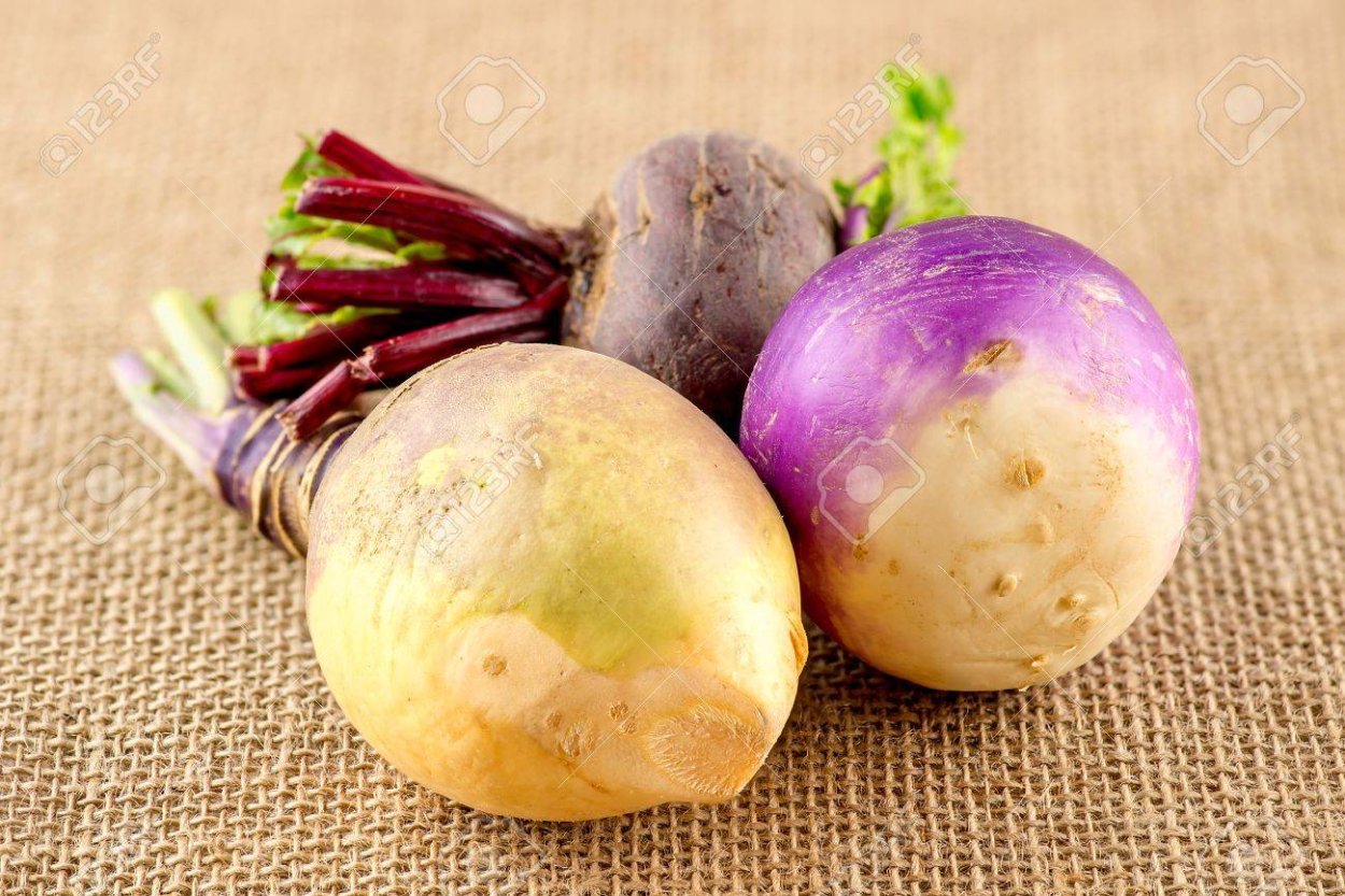 Шалгам репа