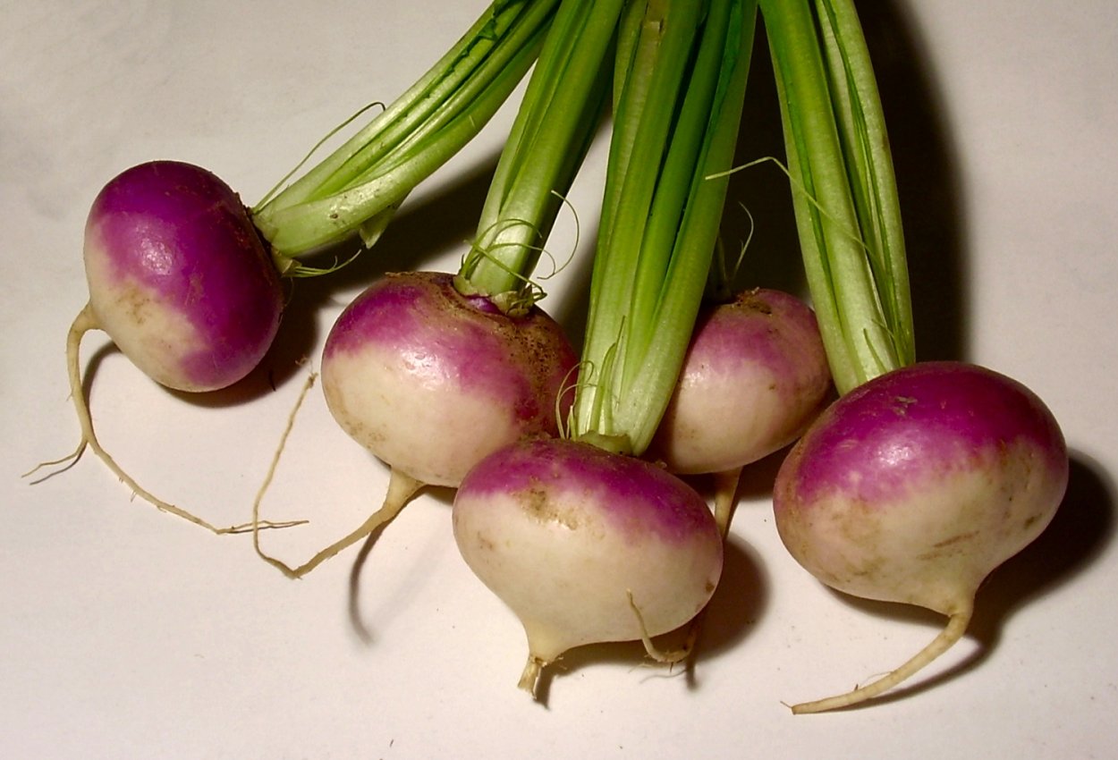 Стоимость репы свежей на рынке