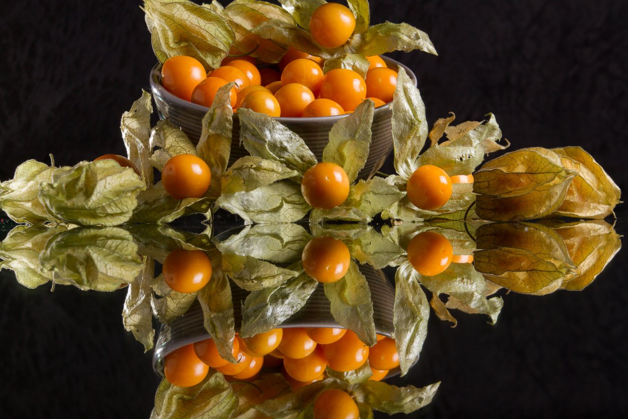 Овен физалис 774