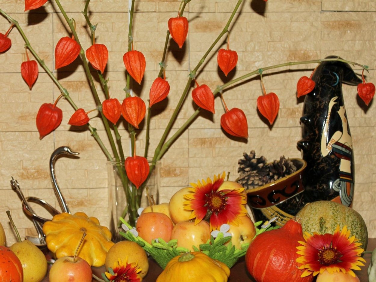 Физалис Франше